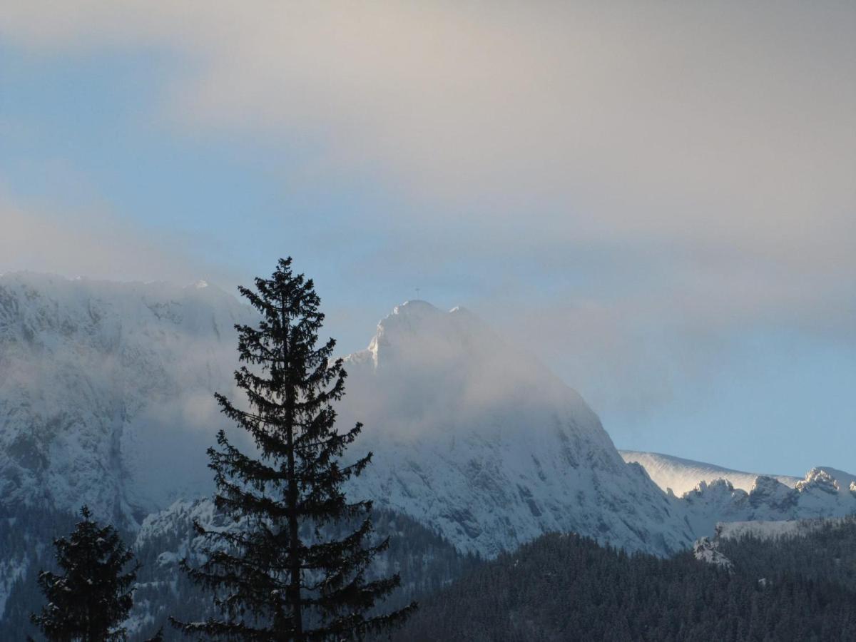 Domek Na Zaciszu Zakopane Ngoại thất bức ảnh